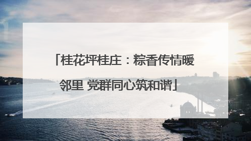 桂花坪桂庄：粽香传情暖邻里 党群同心筑和谐