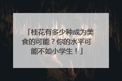 桂花有多少种成为美食的可能？你的水平可能不如小学生！