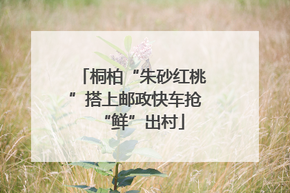 桐柏“朱砂红桃”搭上邮政快车抢“鲜”出村