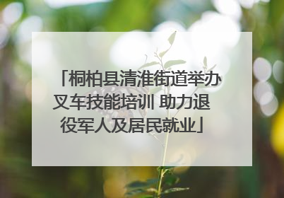 桐柏县清淮街道举办叉车技能培训 助力退役军人及居民就业