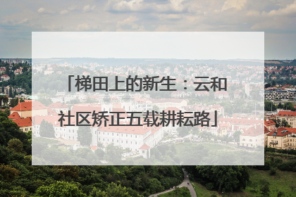 梯田上的新生：云和社区矫正五载耕耘路