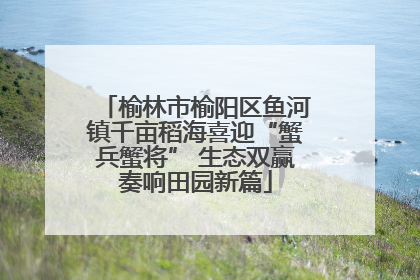 榆林市榆阳区鱼河镇千亩稻海喜迎“蟹兵蟹将” 生态双赢奏响田园新篇