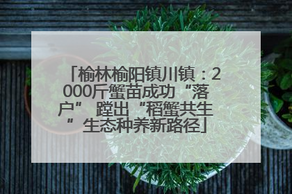 榆林榆阳镇川镇：2000斤蟹苗成功“落户” 蹚出“稻蟹共生”生态种养新路径