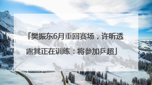 樊振东6月重回赛场，许昕透露其正在训练：将参加乒超