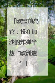 欧盟前高官：投在加沙的炸弹半数“欧洲造”