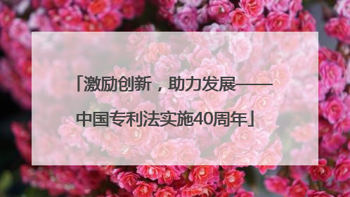 激励创新，助力发展——中国专利法实施40周年