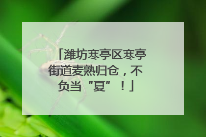 潍坊寒亭区寒亭街道麦熟归仓，不负当“夏”！