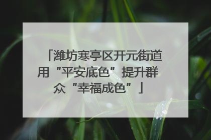 潍坊寒亭区开元街道用“平安底色”提升群众“幸福成色”