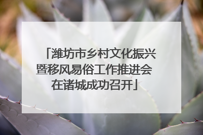 潍坊市乡村文化振兴暨移风易俗工作推进会在诸城成功召开
