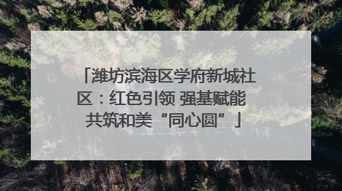 潍坊滨海区学府新城社区：红色引领 强基赋能 共筑和美“同心圆”
