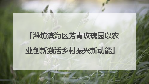 潍坊滨海区芳青玫瑰园以农业创新激活乡村振兴新动能