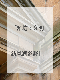 潍坊：文明新风润乡野