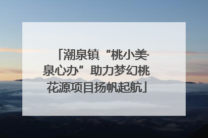 潮泉镇“桃小美·泉心办”助力梦幻桃花源项目扬帆起航