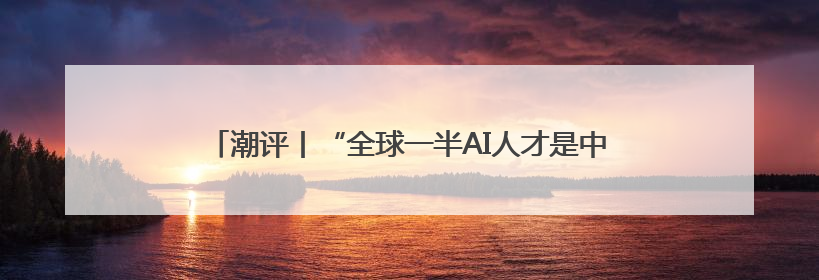 潮评丨“全球一半AI人才是中国人”，秘诀是“投资于人”