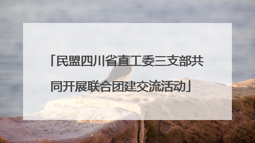 民盟四川省直工委三支部共同开展联合团建交流活动