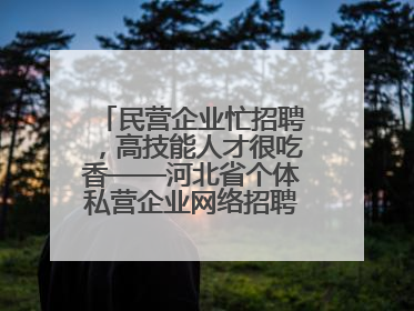 民营企业忙招聘，高技能人才很吃香——河北省个体私营企业网络招聘大会扫描