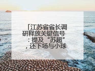 江苏省省长调研释放关键信号：提及“苏超”，还下场与小球员踢球互动