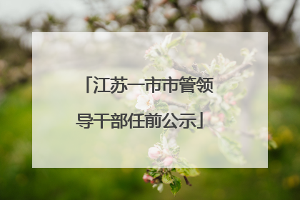江苏一市市管领导干部任前公示