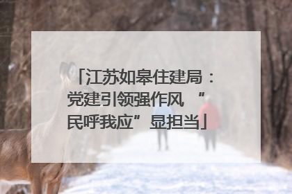江苏如皋住建局：党建引领强作风 “民呼我应”显担当