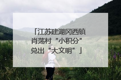 江苏建湖冈西镇肖荡村“小积分”兑出“大文明”