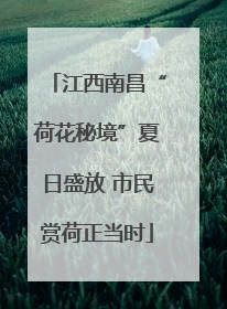江西南昌“荷花秘境”夏日盛放 市民赏荷正当时