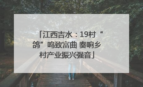 江西吉水：19村“鸽”鸣致富曲 奏响乡村产业振兴强音
