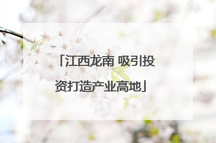 江西龙南 吸引投资打造产业高地