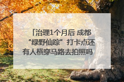 治理1个月后 成都“绿野仙踪”打卡点还有人横穿马路去拍照吗？｜民情瞭望