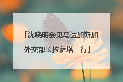 沈晓明会见马达加斯加外交部长拉萨塔一行