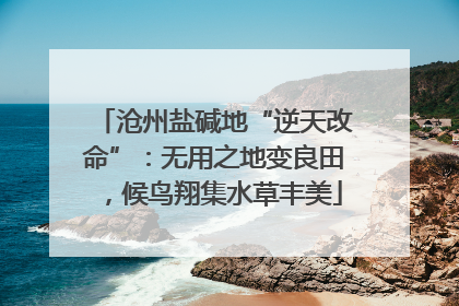 沧州盐碱地“逆天改命”：无用之地变良田，候鸟翔集水草丰美
