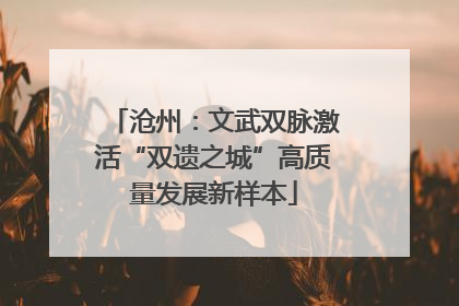 沧州：文武双脉激活“双遗之城”高质量发展新样本