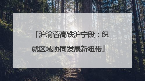 沪渝蓉高铁沪宁段：织就区域协同发展新纽带
