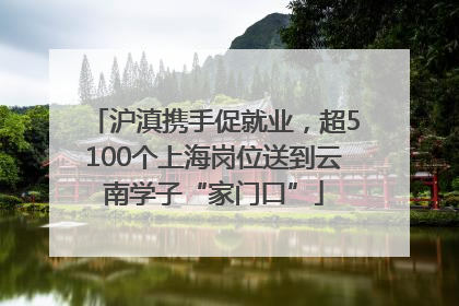 沪滇携手促就业，超5100个上海岗位送到云南学子“家门口”