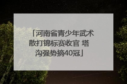 河南省青少年武术散打锦标赛收官 塔沟强势摘40冠