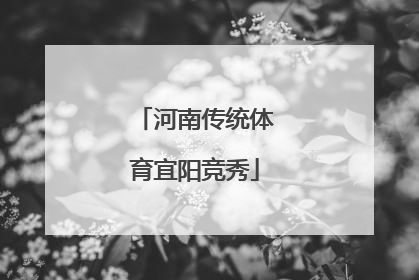 河南传统体育宜阳竞秀