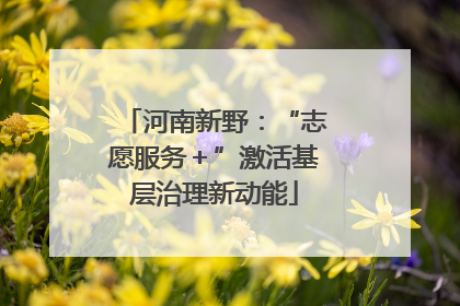 河南新野：“志愿服务＋”激活基层治理新动能