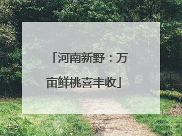 河南新野：万亩鲜桃喜丰收
