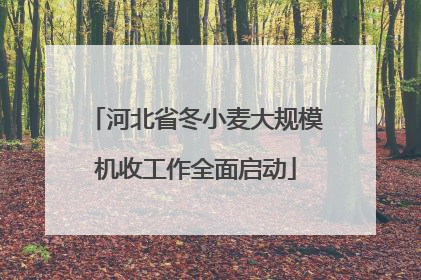 河北省冬小麦大规模机收工作全面启动