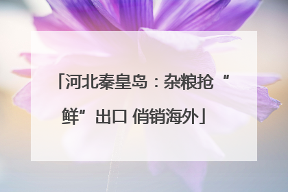 河北秦皇岛：杂粮抢“鲜”出口 俏销海外