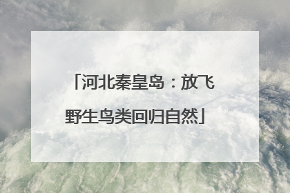 河北秦皇岛：放飞野生鸟类回归自然