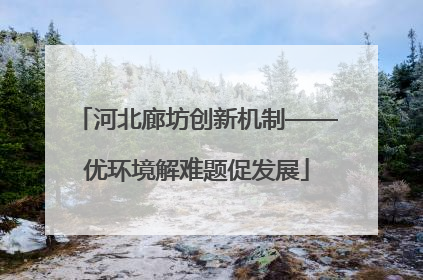 河北廊坊创新机制——优环境解难题促发展