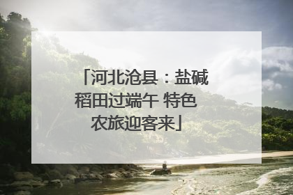 河北沧县：盐碱稻田过端午 特色农旅迎客来