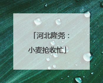 河北隆尧：小麦抢收忙