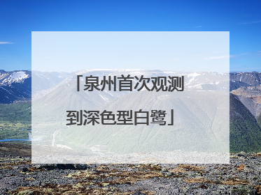 泉州首次观测到深色型白鹭