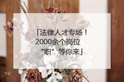 法律人才专场！2000余个岗位“职”等你来
