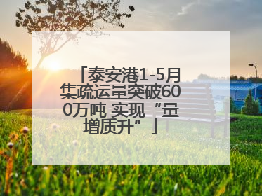 泰安港1-5月集疏运量突破600万吨 实现“量增质升”