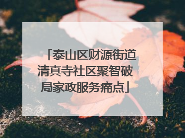 泰山区财源街道清真寺社区聚智破局家政服务痛点