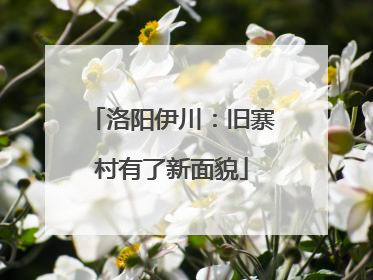 洛阳伊川：旧寨村有了新面貌