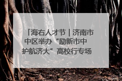 海右人才节｜济南市中区举办“励新市中 护航济大”高校行专场活动暨“青年人才 乐享市中”品牌推介会