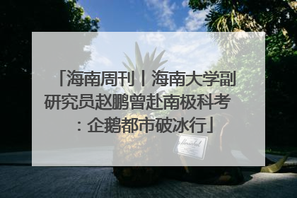 海南周刊丨海南大学副研究员赵鹏曾赴南极科考：企鹅都市破冰行